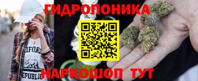 мдпв Боровичи