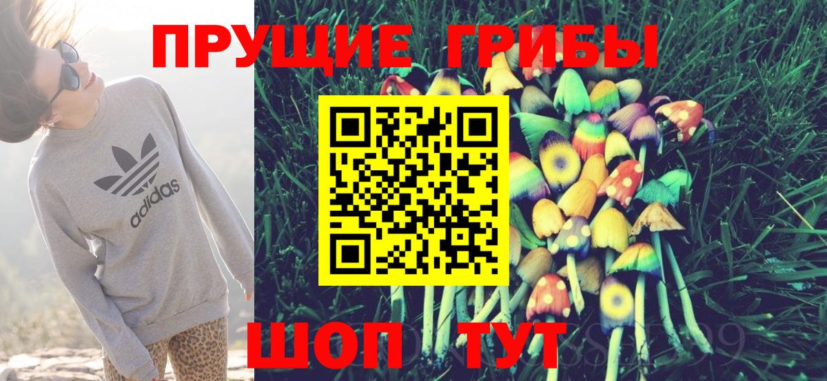 Псилоцибиновые грибы прущие грибы Борисоглебск