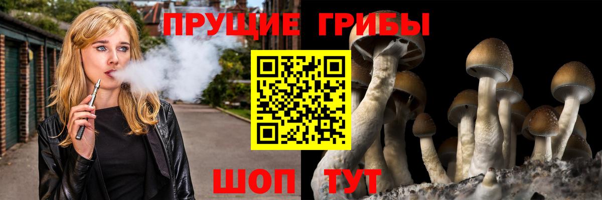 Псилоцибиновые грибы Psilocybe  Вход с VPN  Борисоглебск  Галлюциногенные грибы прущие грибы 